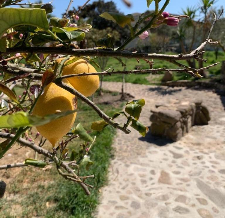 Tenuta Blancamar Country Bed&Breakfast Crisionis Esterno foto